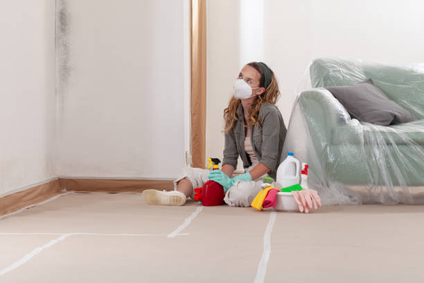 Reliable Mold Cleanup contractor in North Bend, WA by Cheap Mold Removal